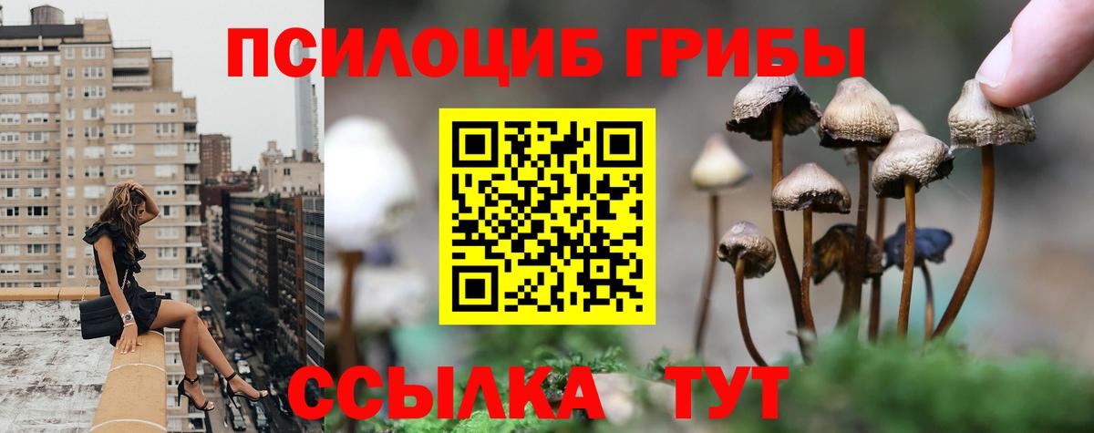 Шахты  Псилоцибиновые грибы Psilocybe  Вход с VPN  Псилоцибиновые грибы ЛСД 